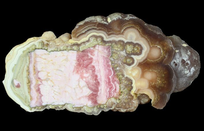 Rhodochrosite Stalactite Slab - Unique Flowery Pattern #63150